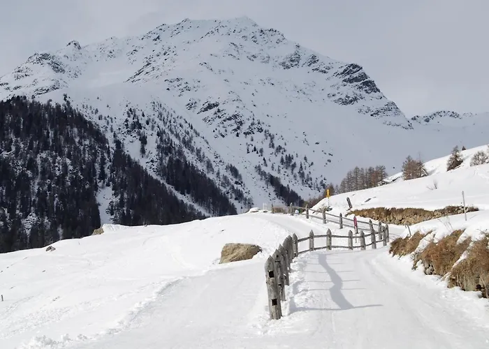 Tessanda Verdet Casa de Campo