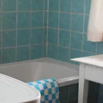 Tessanda Verdet Guarda