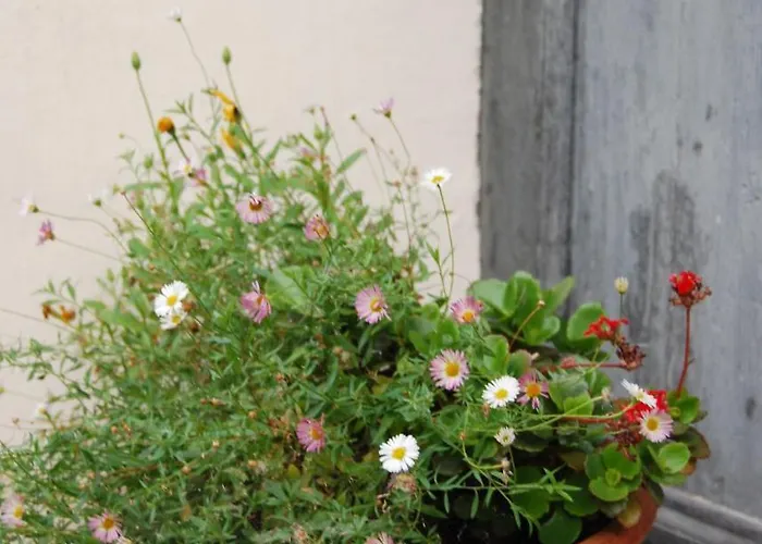 Kır Evi Tessanda Verdet *